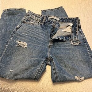 Hidden Blue Denim Jeans